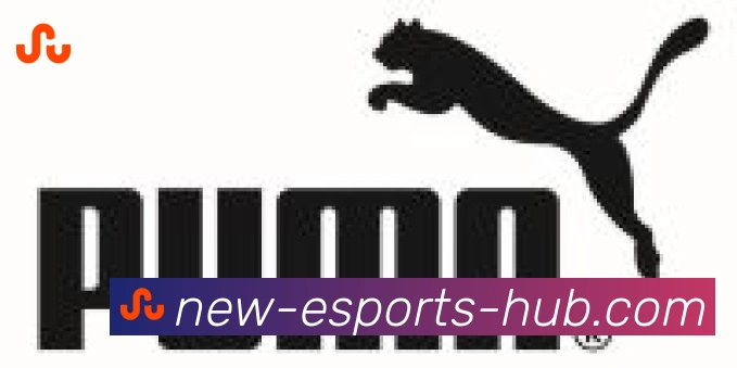 CSGO竞猜合作伙伴
